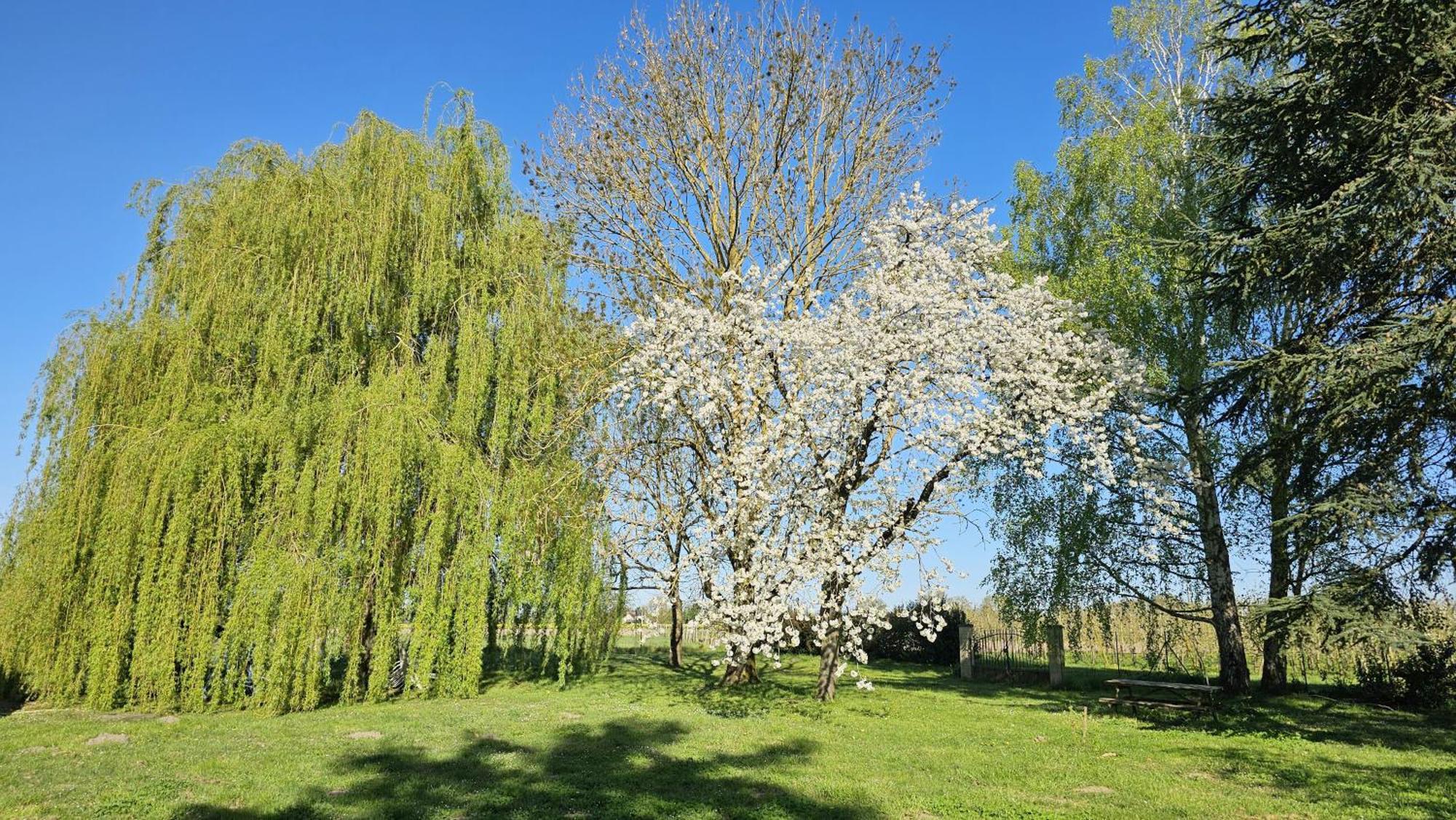 Domaine Des Moizons, Le Figuier Apartment Villebernier Екстериор снимка